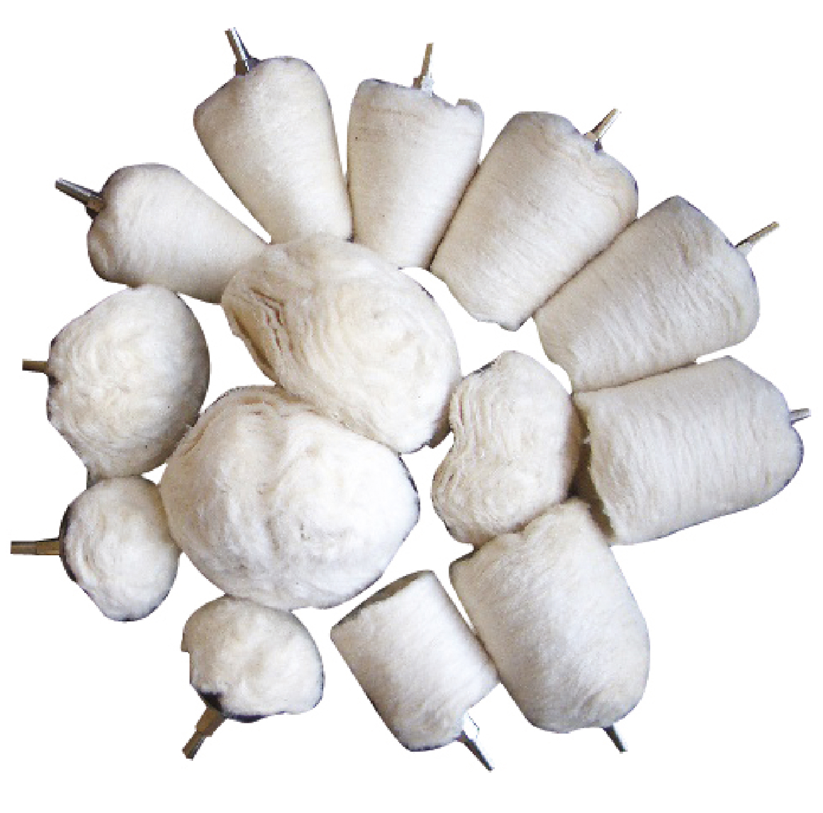 BGS 3995 Polierköpfe-Sortiment | Antrieb 6,3 mm (1/4") | 14-tlg.