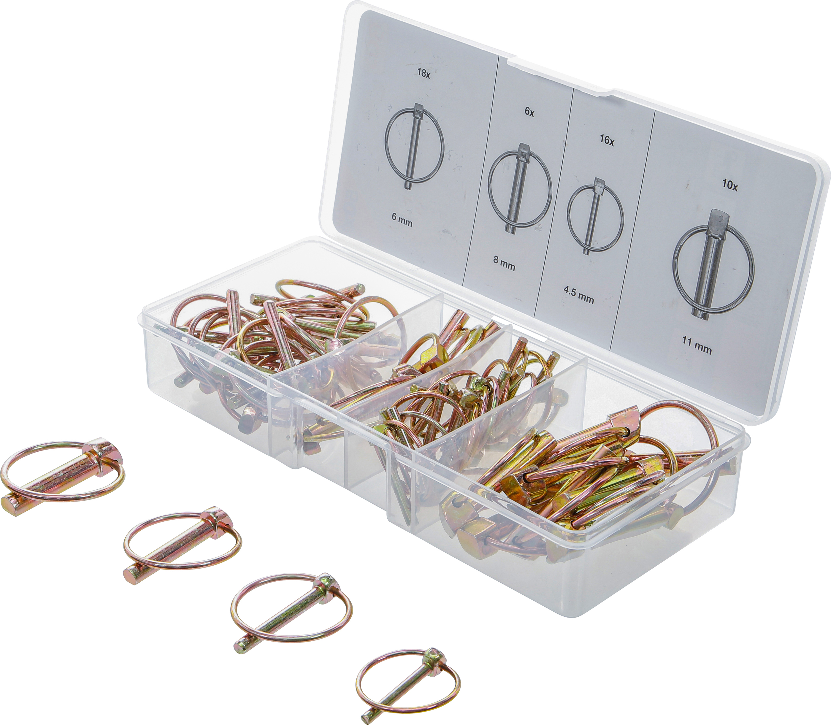 BGS 8087 Klappsplinte-Sortiment | 50-tlg.