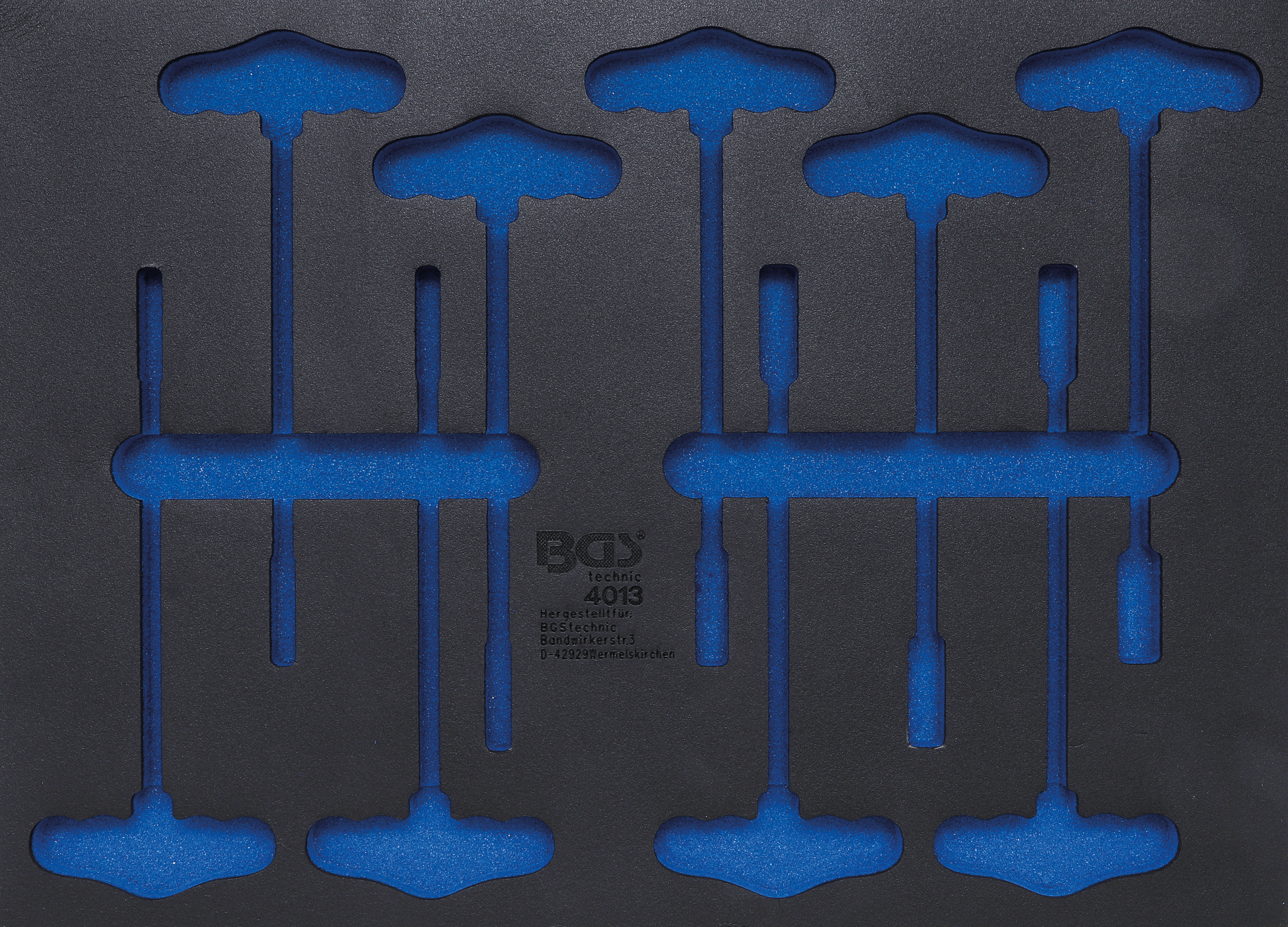 BGS 4013-5 Werkstattwageneinlage 3/3 | leer | für Art. 4013