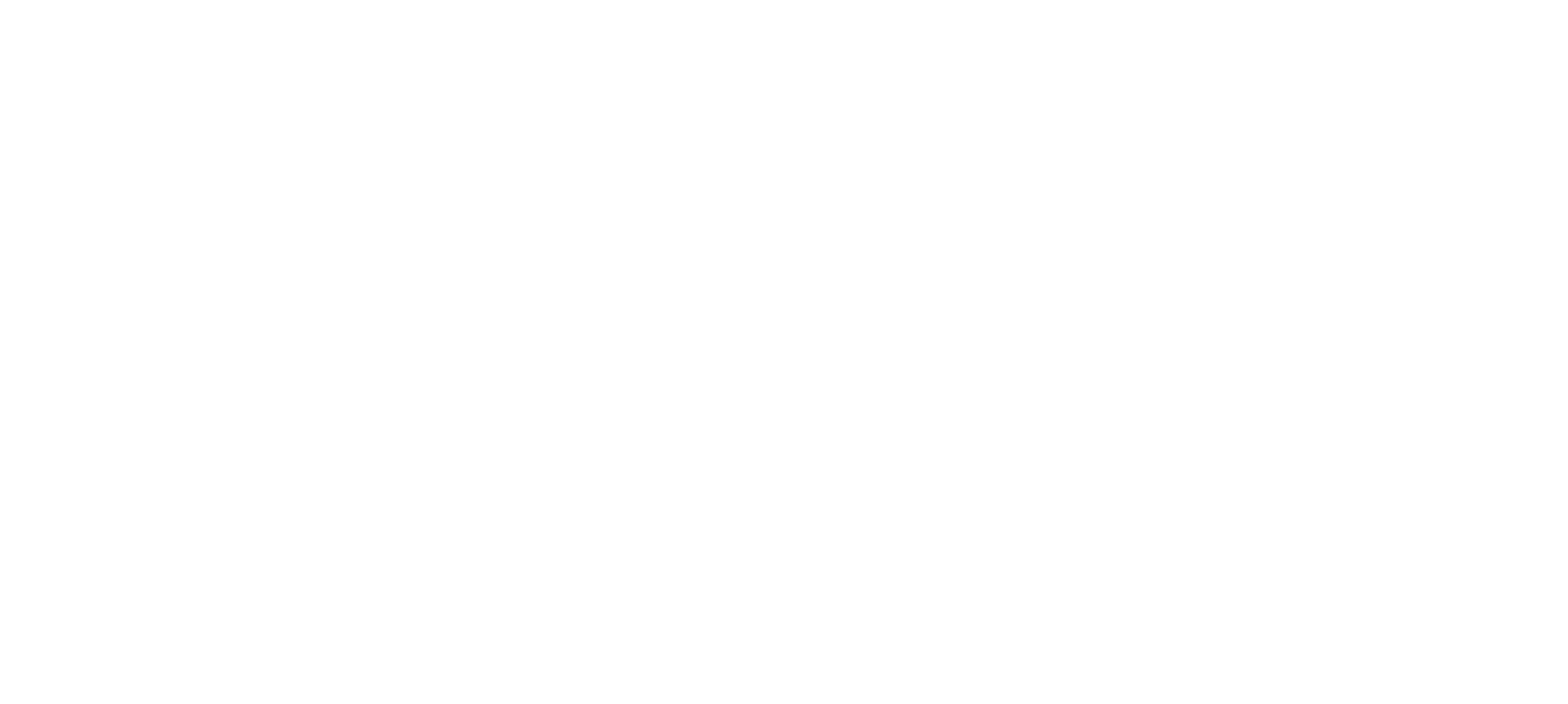 BGS technic BGS technic